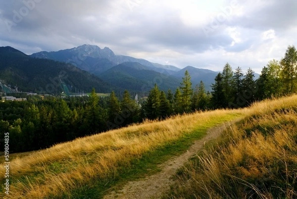 Fototapeta Viewpoint named Antalowka or Bachledzki Wierch - place in Zakopane with view of Tatras Mountains. Poland