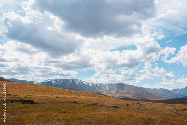 Fototapeta Motley autumn landscape with hills on high plateau and sunlit snowy mountain range under dramatic cloudy sky. Vivid autumn colors in mountains. Sunlight and shadows of clouds in changeable weather.