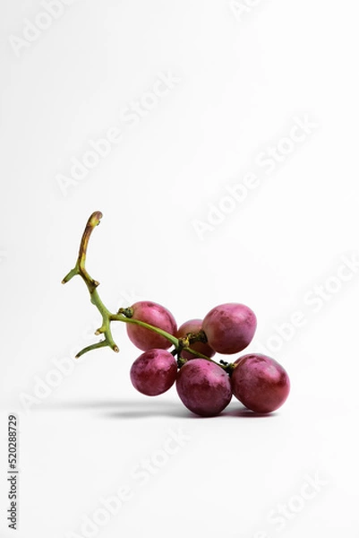 Obraz red wine on a white background