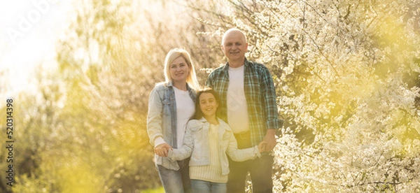 Fototapeta grandfather with granddaughter and daughter in spring, senior man in the yard