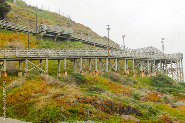 Fototapeta Puente en medio de la naturaleza