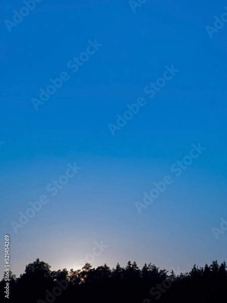 Fototapeta sunset over the forest with blue copy space on the top