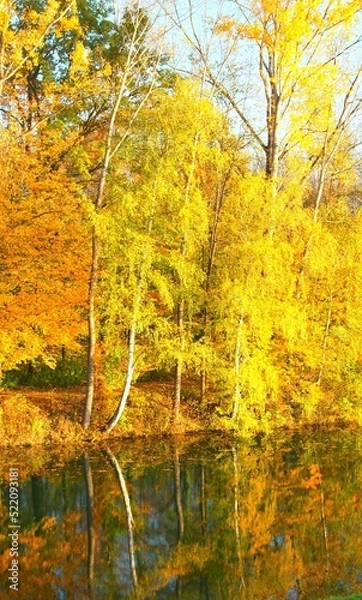 Fototapeta Herbst am Rhein