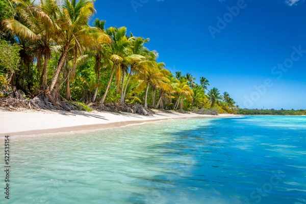 Fototapeta Tropical paradise: idyllic caribbean beach with palm trees, Punta Cana, Saona