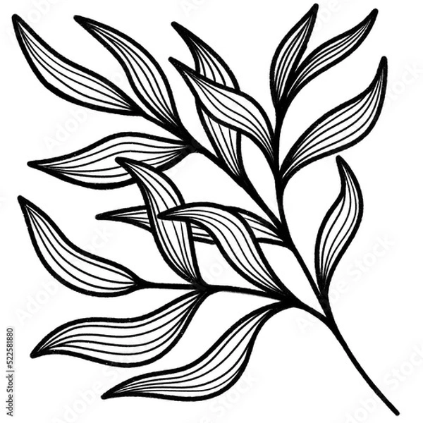 Fototapeta line art tropical leaves.