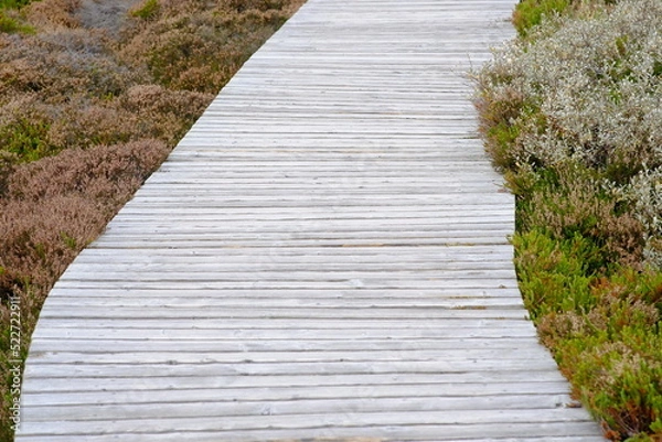 Fototapeta island vegetation and boardwalk