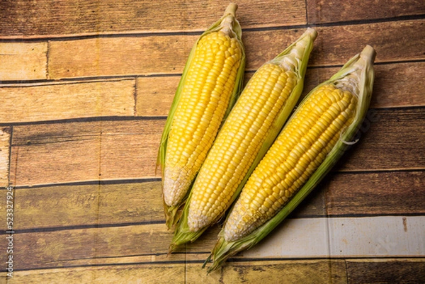 Obraz Corn on the wooden floor An ear of corn isolated on a white background Export products Processed