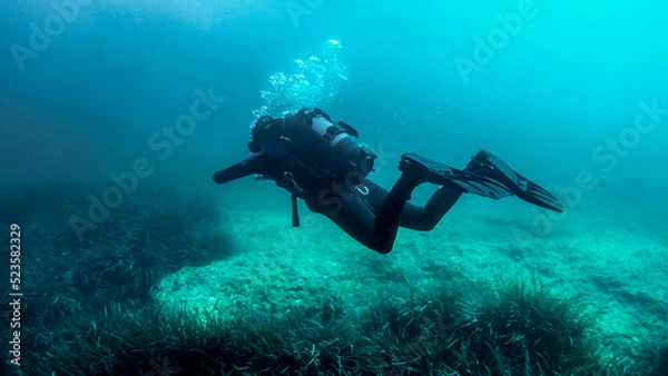 Fototapeta Scuba diver girl playing with an octopus.