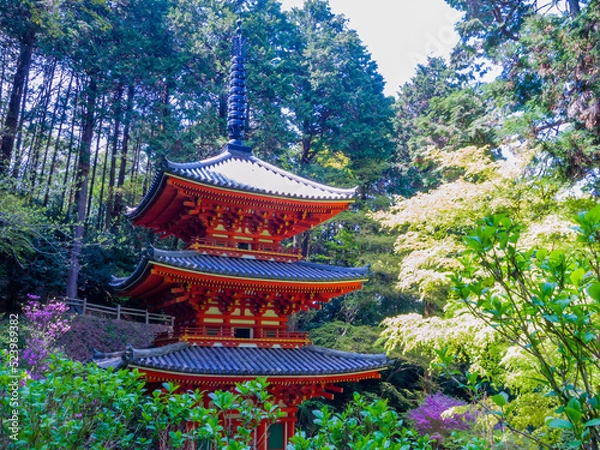 Fototapeta Three-storied pagoda at the Gansen-ji Tempke in Kizugawa City, Kyoto, Important Cultural Property of Japan