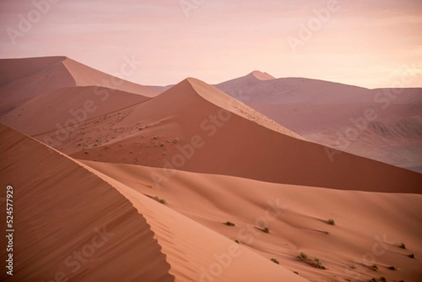 Fototapeta dramatic sunlight hitting desert dune in namibia