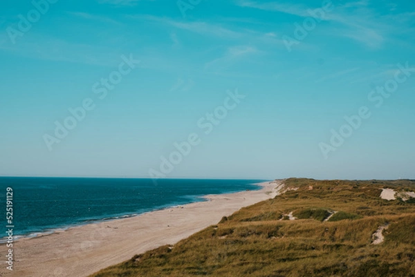 Fototapeta North Sea beach and dunes. Sunset at the dune beach. Sunset View over ocean from dune over North Sea. Outdoor scene of coast in nature of Europe.