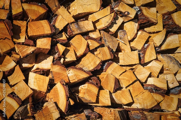 Obraz Firewood cut and stacked