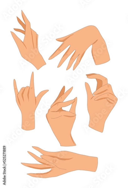 Fototapeta Vector illustration set of human hands hand gesture palm fingers man woman