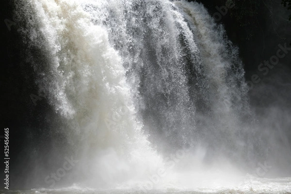 Fototapeta The water flows a lot from the cliffs of a natural waterfall. fullness of forests and nature