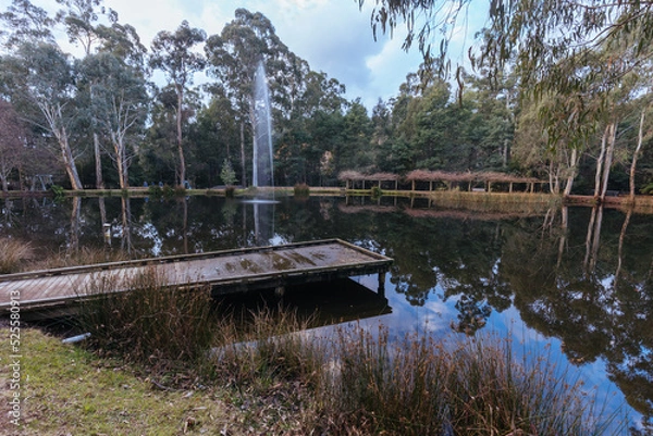 Fototapeta Gallipoli Park Marysville in Australia