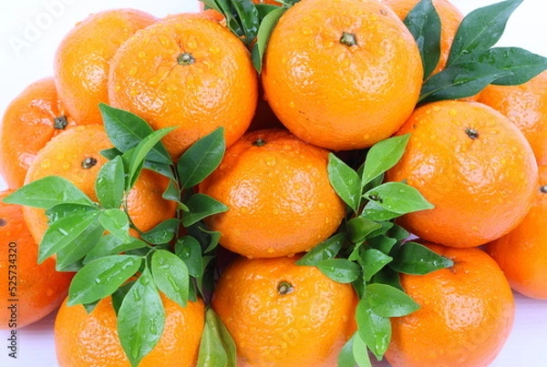 Fototapeta Oranges with water drops on a white background