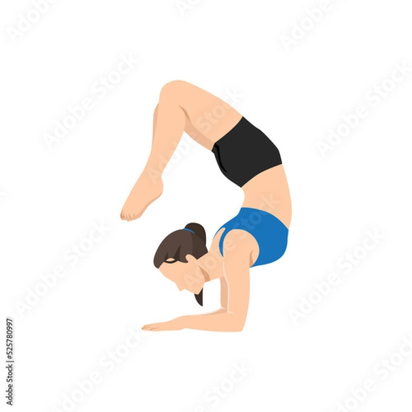 Obraz Woman doing Scorpion Pose. Beautiful girl practice Vrschikasana. Flat vector illustration isolated on white background