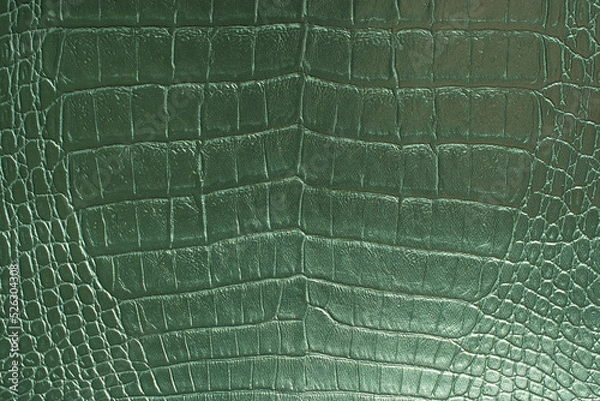 Fototapeta Crocodile bone skin texture background. Green Leather background and texture.