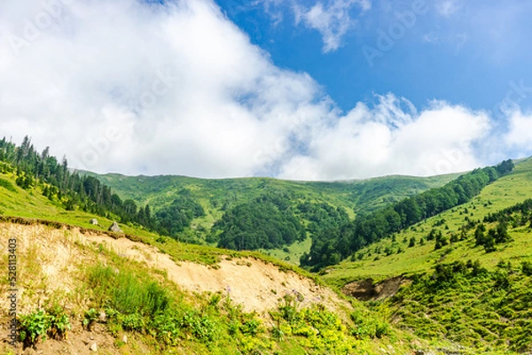 Fototapeta Caucasus mountain in georgian region Guria