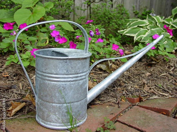 Fototapeta watering can in garden