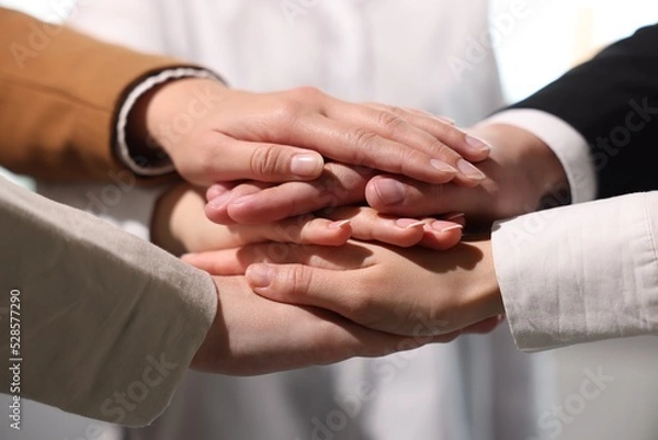 Fototapeta Group of people holding hands together indoors, closeup. Unity concept