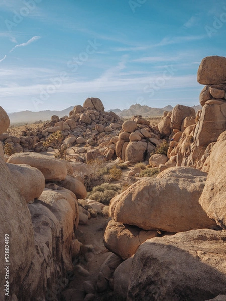 Fototapeta Giant Boulders  at Quail Spring in Joshua Tree National Park California.