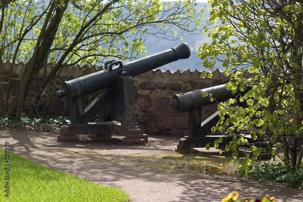 Fototapeta kanone auf der wartburg