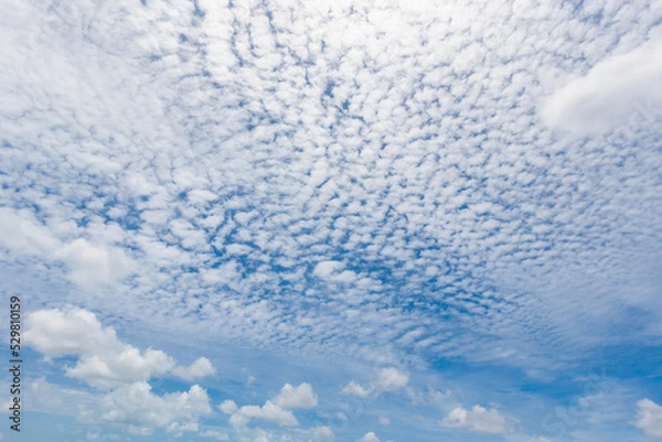 Fototapeta The blue sky and white clouds float in the sky on a clear day with warm sunlight. combined with the cool breeze blowing into the body This results in a wonderfully heavenly freshness.