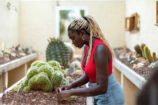 Fototapeta Top View of a Black Woman Working with Plants in Her Greenhouse