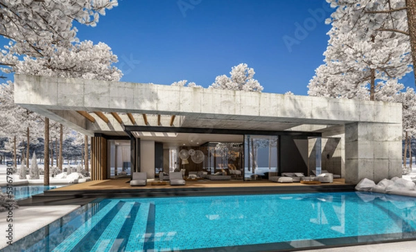 Obraz 3d rendering of new concrete house in modern style with pool and parking for sale or rent and beautiful landscaping on background. The house has only one floor. Cool winter day with shiny white snow.