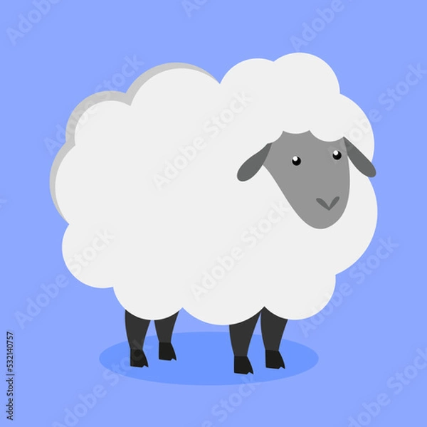 Fototapeta sheep on a blue background