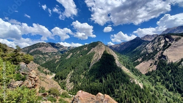 Fototapeta View from Mill B North, Wasatch National Forest, Utah