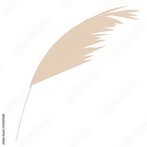 Fototapeta leaves hand drawn vector element