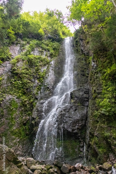 Fototapeta Wasserfall im Schwarzwald