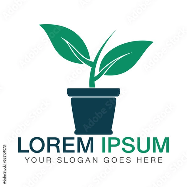 Fototapeta Flower pot and plant logo. Growth vector logo.