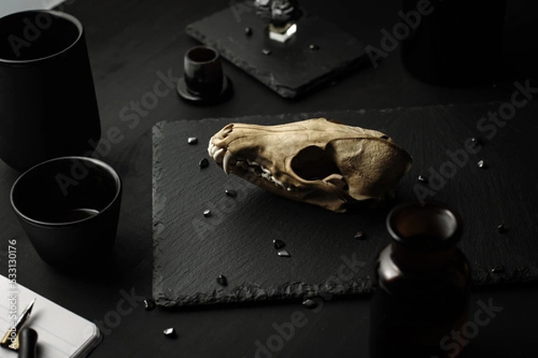 Fototapeta Dark mood still life. real fox skull, calligraphy pen, aopthecary bottle, black wood table. Gothic witch moody background.