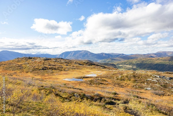 Fototapeta Hike to Kvennhatten in  wonderful autumn weather, Brønnøy, Velfjorden, Norway, Scandinavia,Europe