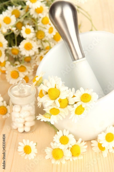 Fototapeta Medicine chamomile flowers on wooden table