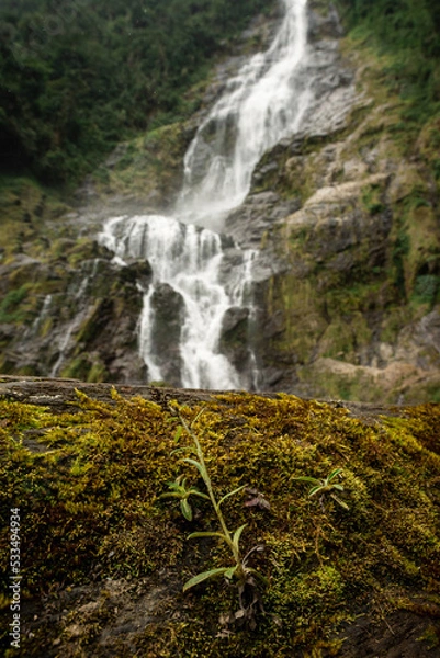 Fototapeta waterfall in the mountains