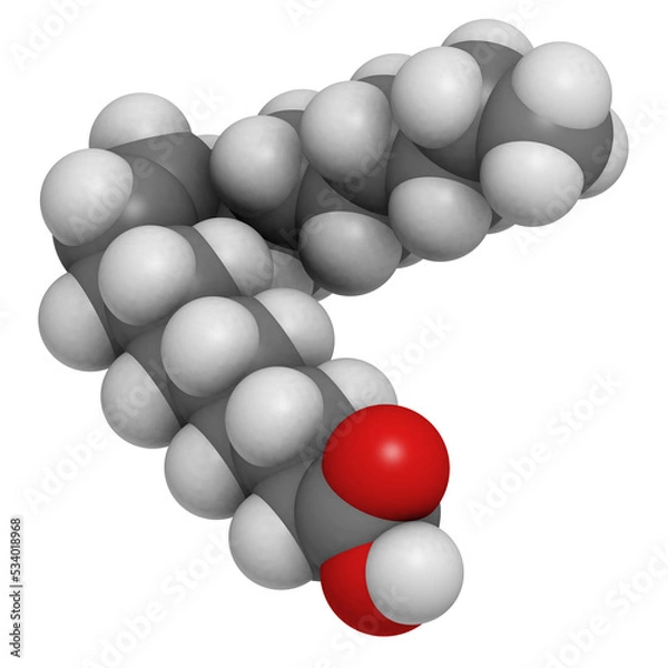 Fototapeta Oleic acid omega-9 fatty acid, molecular model