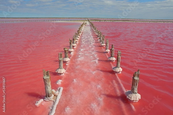 Fototapeta Pink salt lake Sasyk-Sivash, Crimea peninsula	