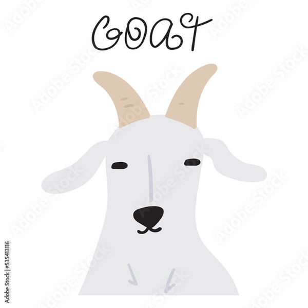 Obraz Farm animal. Goat face. Flat vector illustration on white background.