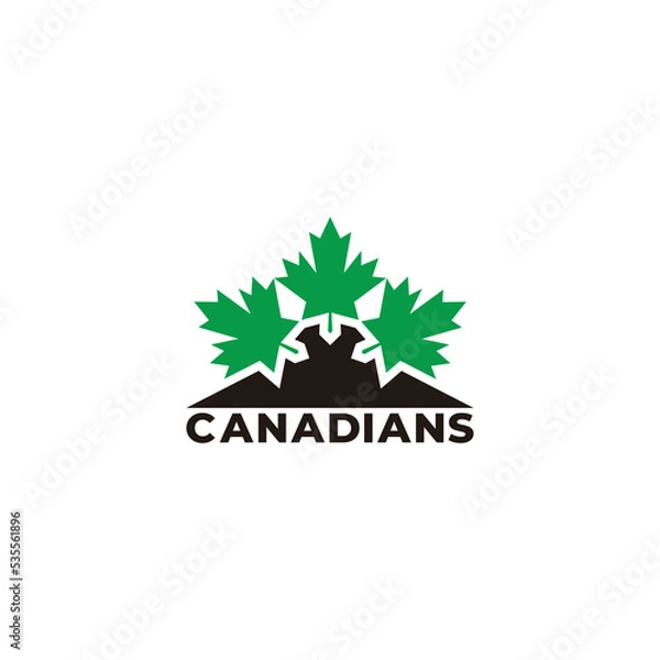 Fototapeta canadian green leaf mountain logo vector