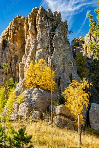 Fototapeta South Dakota-Custer State Park