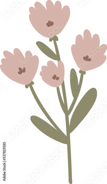 Fototapeta Wildflower hand drawn clipart, rustic elegant illustration element