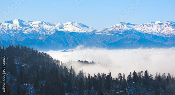 Fototapeta Fantastic view of cloudy winter landscape with snow covered mountains and pine tree forest