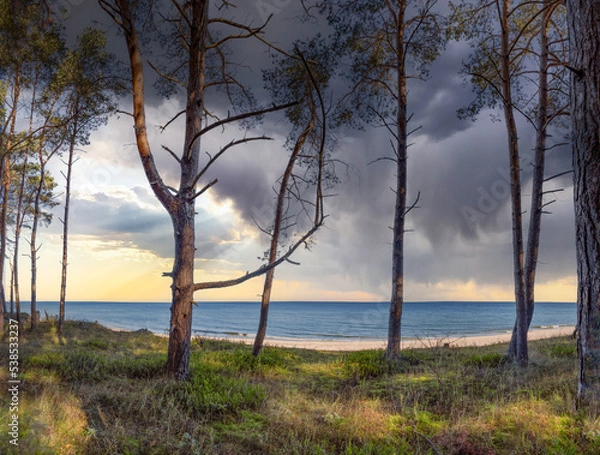 Fototapeta traumhafter weißer Sandstrand - Blick durch den Dünenwald auf die Ostsee zwischen Zinnowitz und Zempin auf der Insel Usedom	