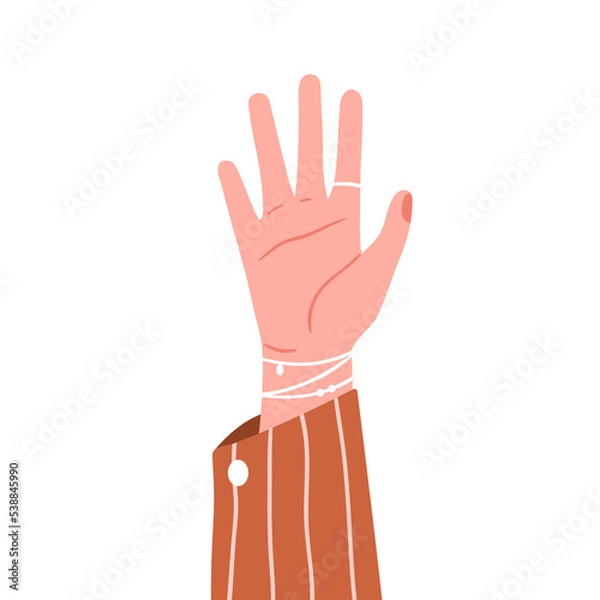 Fototapeta Female hand raised up, wearing jewelry accessories, palm side. Women rising arm with ring on index finger, bracelet on wrist and jacket cuff. Flat vector illustration isolated on white background