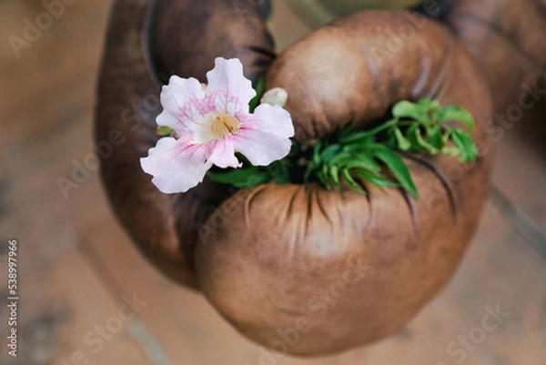 Fototapeta Hands in boxing leather gloves hold a delicate pink flower. The theme is the power of tenderness and beauty.