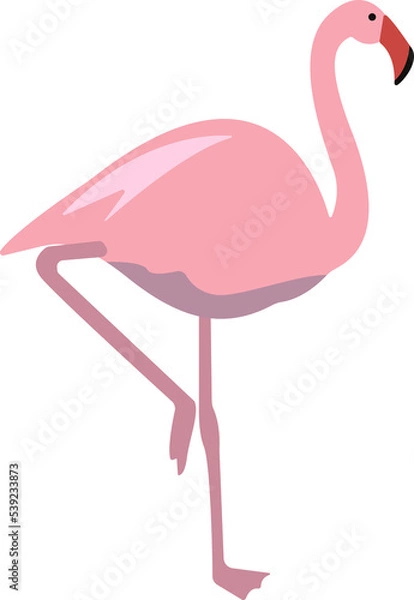 Fototapeta Pink flat flamingo vector illustration